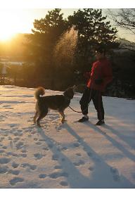 신봉리 우리집; 흔한 이야기