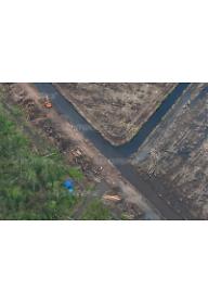 그린피스: 수마트라 열대림의 파괴