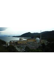 과라니 브자 대 원자력 발전소