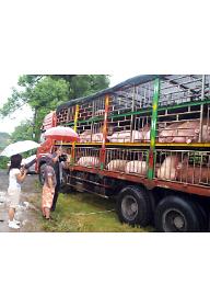 중국, 밥상의 사회학