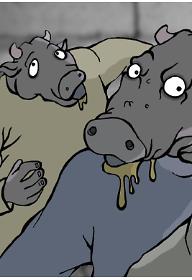 런치 타임즈 (Lunch Times)