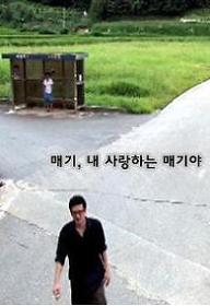 매기, 내 사랑하는 매기야