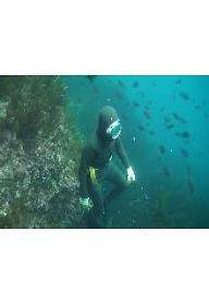 인어할머니와 선장