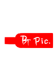 BTPic+Logo+투명.png