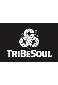 (주)트라이비소울 로고