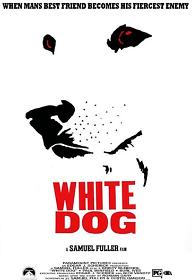 white dog.jpg