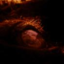 MAGMA_15min_V2.00_00_14_21.스틸+009.jpg