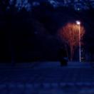 bodo_still_02.jpg