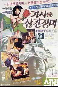 가시를 삼킨 장미